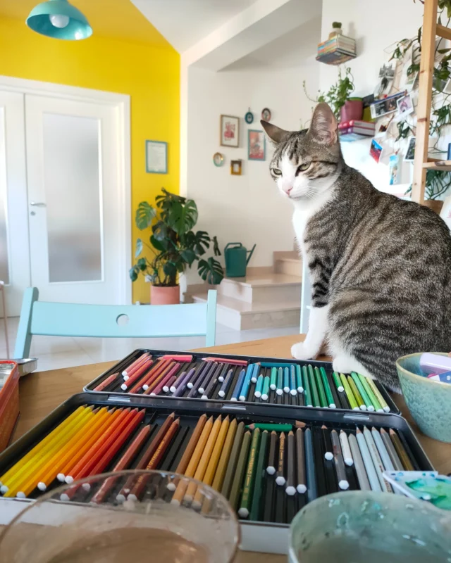 Il mio tavolo è raramente in ordine. Ci sono matite consumate, fogli sparsi, colori aperti e ritratti che aspettano ancora qualche dettaglio.
E poi c'è lei 😻
Che, puntualmente, decide che il posto migliore dove stare è esattamente dove sto lavorando!
Potrei sistemare tutto prima di fare una foto, ma preferisco mostrarvelo così! Un po' caotico, molto vissuto e pieno di storie che stanno prendendo forma.